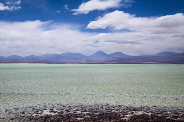 Laguna's - Atacama-131